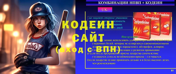 хмурый Михайловск