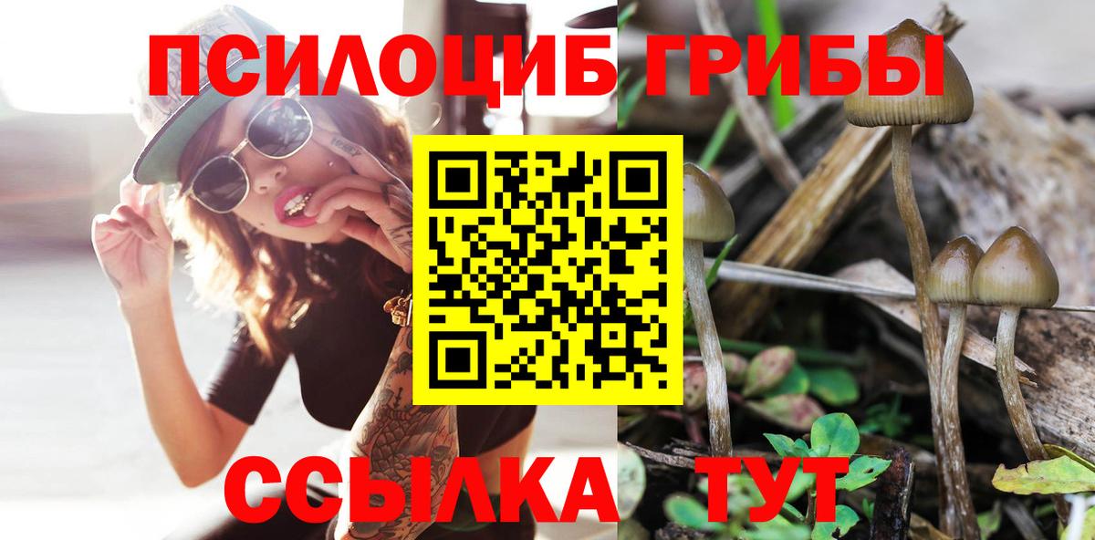 Галлюциногенные грибы Psilocybine cubensis Каспийск