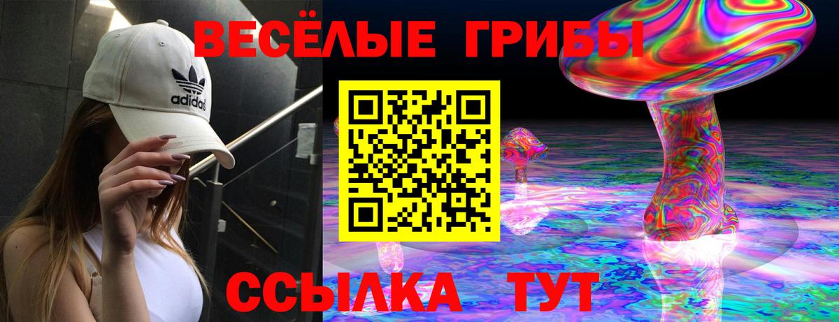 Галлюциногенные грибы Psilocybine cubensis  Вход с VPN  Каспийск 