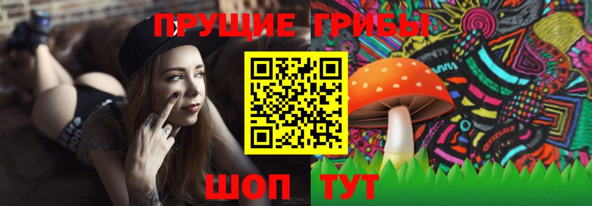 Галлюциногенные грибы Psilocybe Каспийск