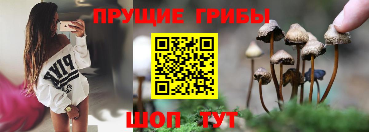Псилоцибиновые грибы прущие грибы  Каспийск 