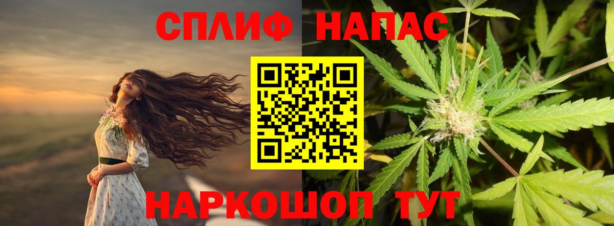 Каспийск  Бошки Шишки тримм  Бошки Шишки сатива  Вход с VPN  Конопля планчик 